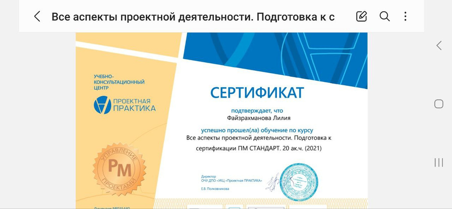 Документ Лилии Файзрахмановой: Проектная деятельность